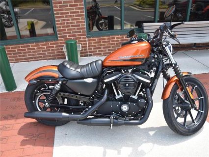  2020 Harley-Davidson Sportster XL883N 883 IRON 1